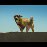 Ohh My Dog Movie Review 2026: Warm Family Story of Loyalty Wins Hearts Ohh My Dog 2026