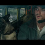 The Dog Stars